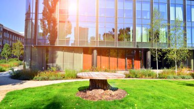 Modern luxury office building.The structure features a glass and concrete walls, showcasing contemporary architecture. The green surroundings of office buildings. Trees and shrubs in the city.