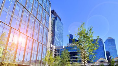 Modern luxury office building.The structure features a glass and concrete walls, showcasing contemporary architecture. The green surroundings of office buildings. Trees and shrubs in the city.
