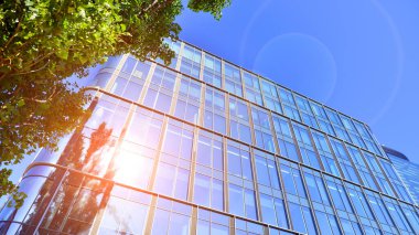 Modern luxury office building.The structure features a glass and concrete walls, showcasing contemporary architecture. The green surroundings of office buildings. Trees and shrubs in the city.