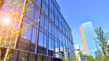 Modern luxury office building.The structure features a glass and concrete walls, showcasing contemporary architecture. The green surroundings of office buildings. Trees and shrubs in the city.