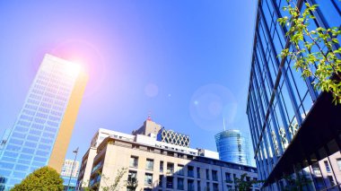 Modern luxury office building.The structure features a glass and concrete walls, showcasing contemporary architecture. The green surroundings of office buildings. Trees and shrubs in the city.