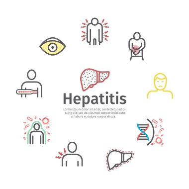 Hepatit çizgi simgesi Infographics. Semptomlar, tedavi. Web grafikleri için vektör işaretleri.