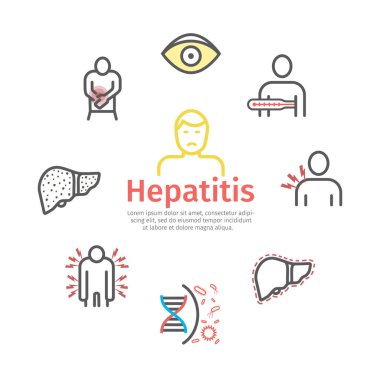 Hepatit çizgi simgesi Infographics. Semptomlar, tedavi. Web grafikleri için vektör işaretleri.