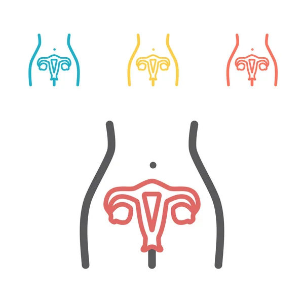 Uterus படத — ஸ்டாக் வெக்டார்