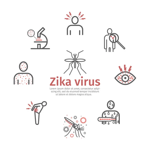 Zika Virus Line Icon Infografías Signos Vectoriales Para Gráficos Web — Vector de stock