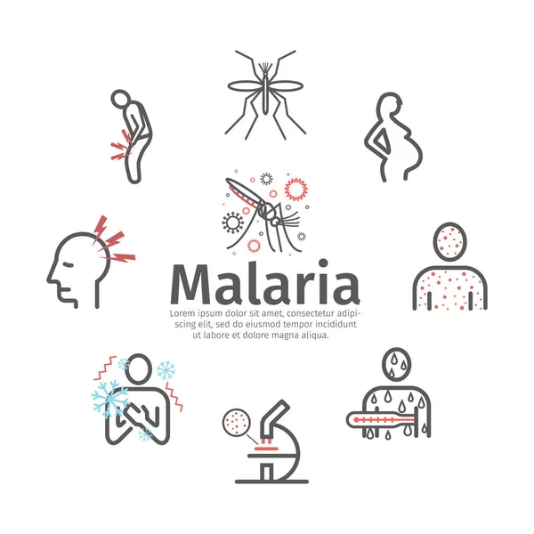 Icono Línea Malaria Infografías Síntomas Tratamiento Signos Vectoriales Para Gráficos — Vector de stock