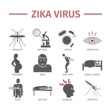 Zika Virüs simgesi İnfografikleri, Web grafikleri için Vektör işaretleri.