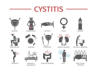 Sistit yassı ikon. Web grafikleri için vektör işaretleri.