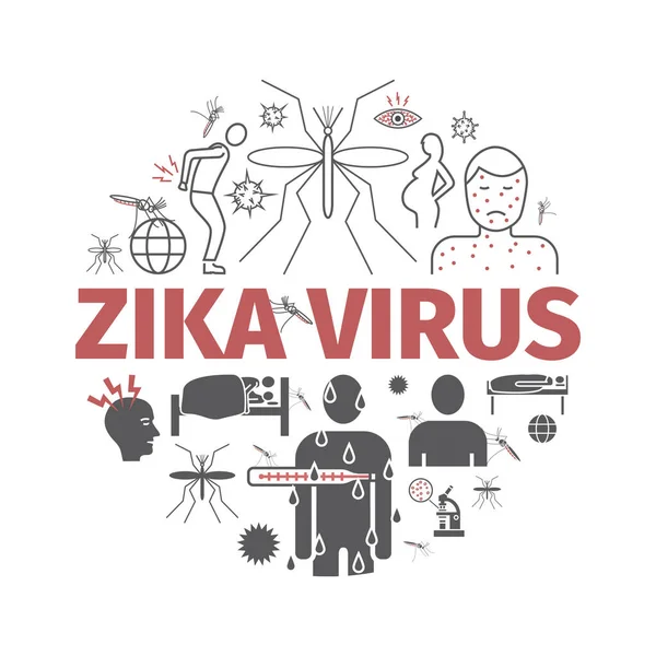 Zika Virus Line Icon Infografías Signos Vectoriales Para Gráficos Web — Vector de stock
