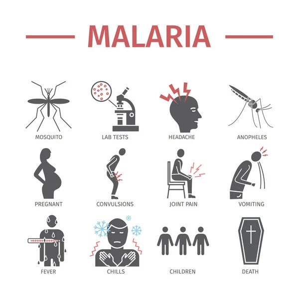 Icono Malaria Infografías Síntomas Tratamiento Signos Vectoriales Para Gráficos Web — Vector de stock