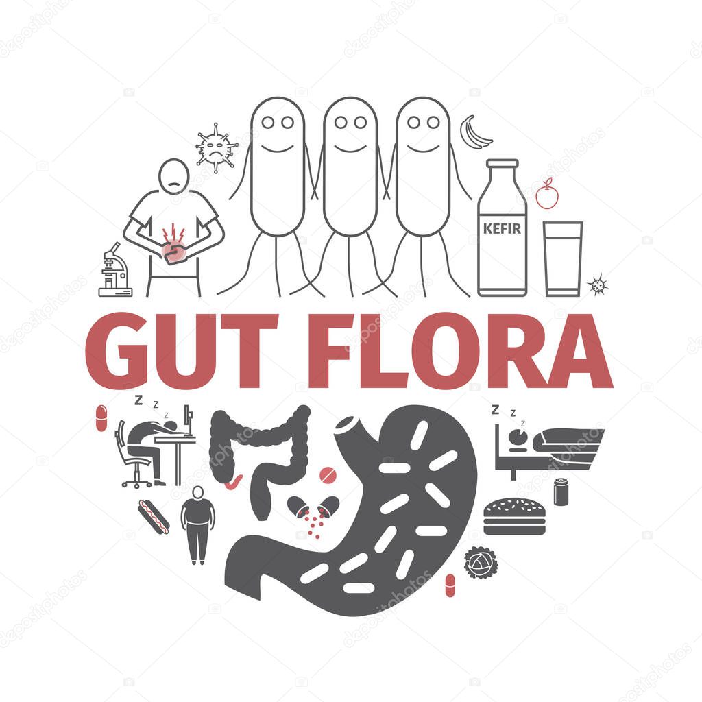Gut flora. Line icons set. Vector signs for web graphics.