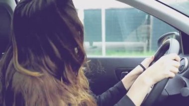 Mutlu sürüş araba yavaş dans çok uzun saçlı güzel kadın ret