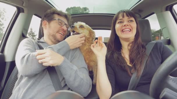Счастливые люди обнимаются с милым щенком в машине замедленной съемки — стоковое видео