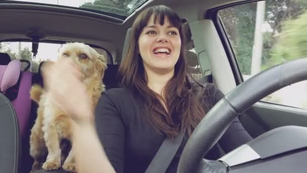 Mujer abrazando y besando perro mientras conduce coche — Vídeos de Stock