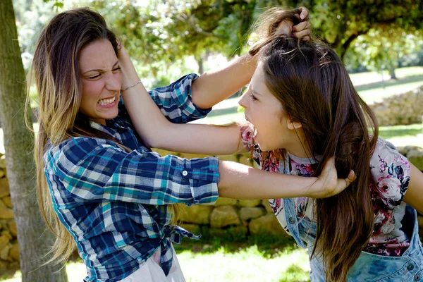 Twee tiener vrienden gevechten in park boos trekken lange haren schreeuwen Stockfoto