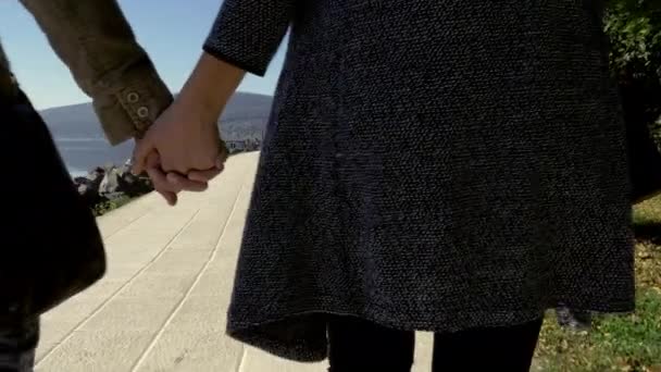 Fechar Mãos Casal Segurando Enquanto Caminhava Frente Lago — Vídeo de Stock