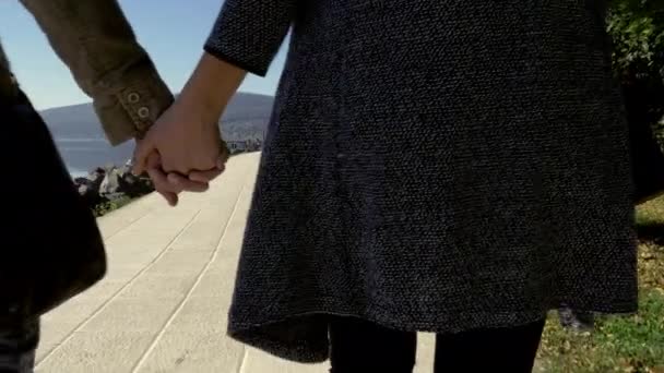 Penutup Tangan Pasangan Memegang Sambil Berjalan Depan Danau — Stok Video
