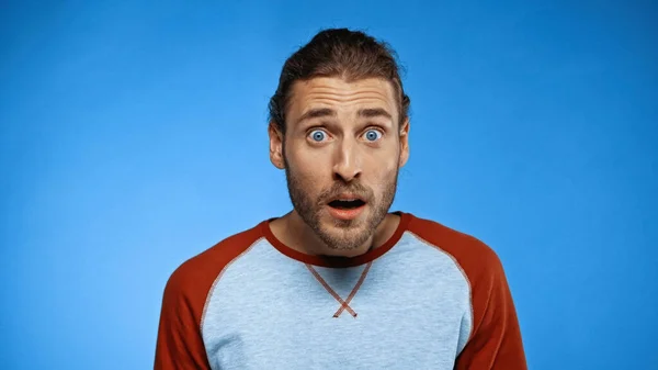 Shocked Bearded Man Looking Camera Blue — Stock Photo, Image