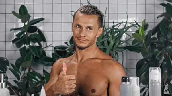 Skjorta Man Visar Tummen Upp Nära Gröna Växter Suddig Bakgrund — Stockfoto