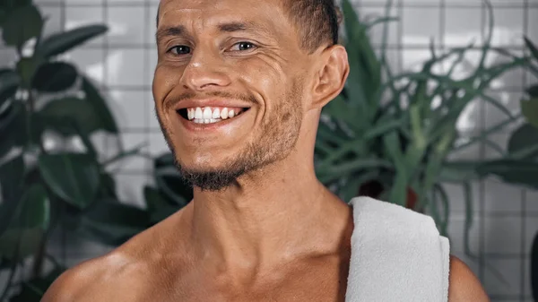 Homem Barbudo Mostrando Dentes Brancos Enquanto Sorrindo Banheiro Perto Plantas — Fotografia de Stock