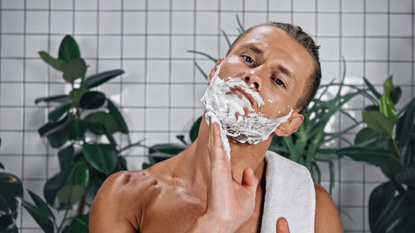 Shirtless Man Applying Shaving Foam Face Looking Camera Plants Blurred — Stock Photo, Image