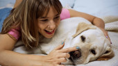 glückliche junge Frau berührt Nase von Golden Retriever-Hund im Bett