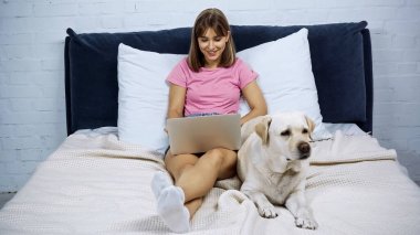 Yatakta Golden Retriever 'ın yanında dizüstü bilgisayar kullanan mutlu bir serbest oyuncu.