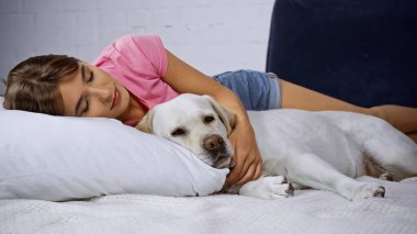 young woman with closed eyes lying with golden retriever on bed clipart