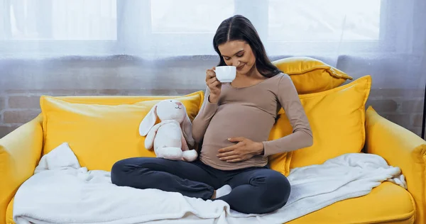 Mulher Grávida Com Copo Olhando Para Barriga Perto Brinquedo Macio — Fotografia de Stock