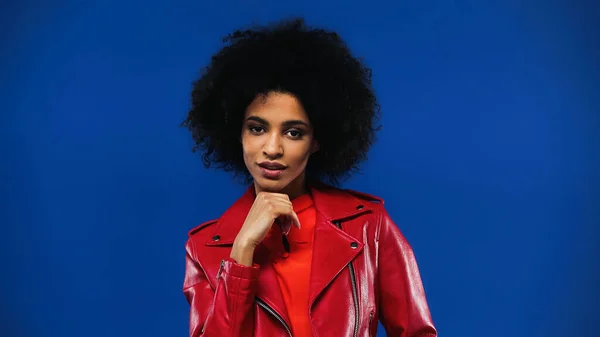 Curly African American Woman Red Jacket Looking Camera Isolated Blue — Stock Photo, Image