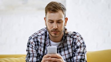 bearded man in checkered shirt messaging on smartphone 