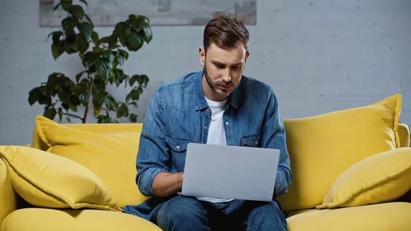 Freelancer Barbudo Sentado Sofá Usando Laptop — Fotografia de Stock