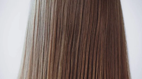 Visão Traseira Mulher Com Cabelo Saudável Isolado Cinza — Fotografia de Stock