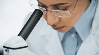 Gözlüklü Afrikalı Amerikalı bilim adamı laboratuvarda mikroskoptan bakıyor. 