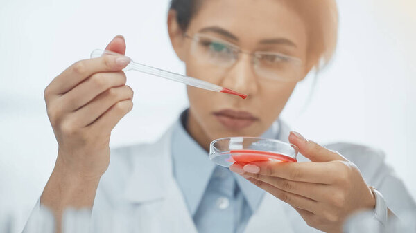 african american scientist in glasses holding test plate with blood and pipette in lab 