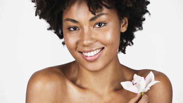 Cheerful african american woman holding white orchid isolated on grey 