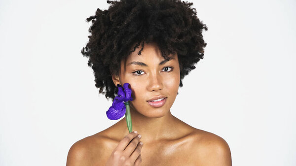 African american woman holding blue orchid isolated on grey 