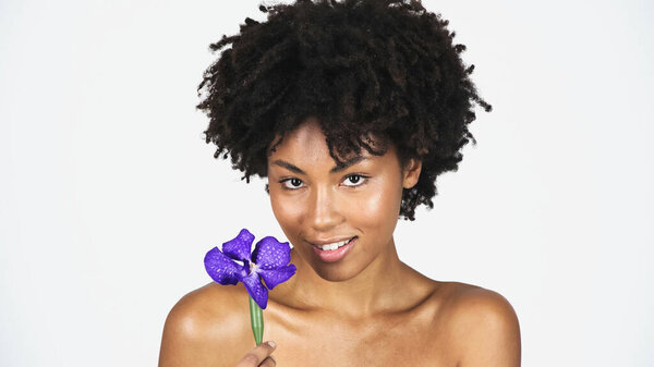 Pretty african american woman holding blue orchid isolated on grey 