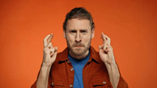 Joven barbudo con los dedos cruzados en naranja - foto de stock