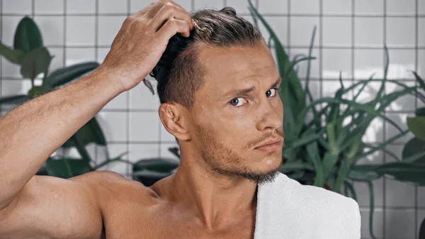 Homem sem camisa fixando o cabelo perto de plantas verdes no fundo borrado no banheiro — Fotografia de Stock