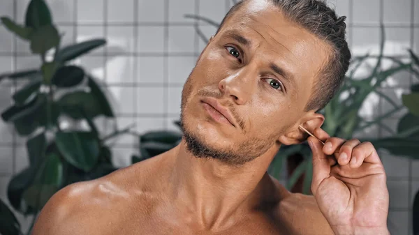 Hombre sin camisa pegando hisopo de algodón en la oreja y mirando a la cámara cerca de las plantas sobre fondo borroso en el baño - foto de stock