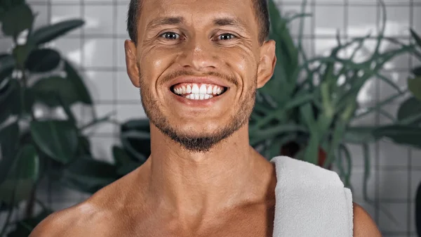 Homme heureux montrant dents blanches tout en souriant dans la salle de bain près de plantes sur fond flou — Photo de stock