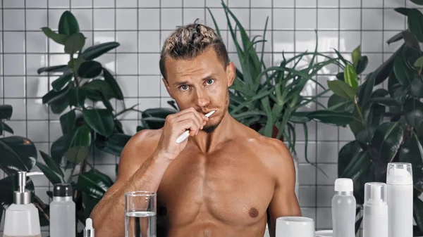 Безсоромний чоловік чистить зуби у ванній біля зелених рослин на розмитому фоні — стокове фото
