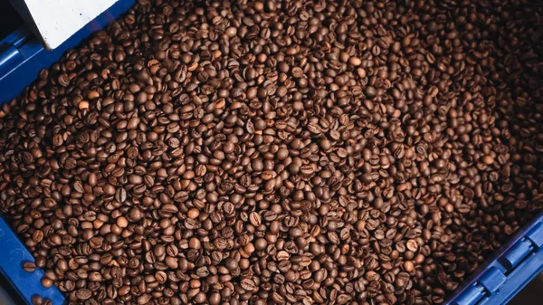 High angle view of roasted coffee beans in container — Stock Photo