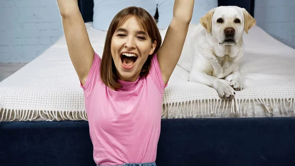 Excited woman with raised hands near golden retriever dog in bedroom — Stock Photo