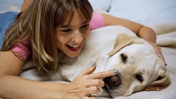 Happy young woman touching nose of golden retriever dog on bed — Stock Photo