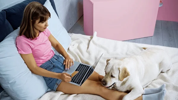 Visão de alto ângulo da mulher segurando cartão de crédito ao fazer compras on-line perto de laptop e golden retriever na cama — Fotografia de Stock