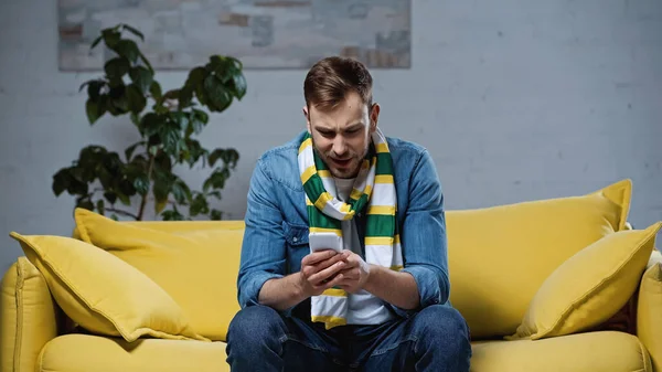 Bearded man in scarf sitting on sofa and looking at smartphone — Stock Photo