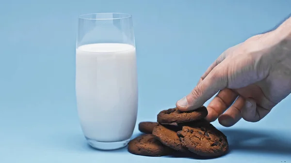 Частичный вид человека, принимающего шоколадное печенье возле стакана со свежим молоком — стоковое фото