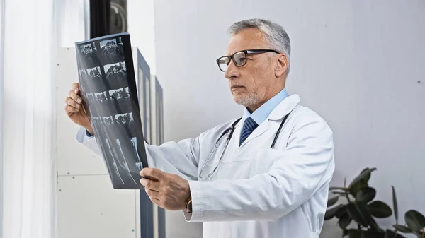 Mature doctor in eyeglasses looking at x-ray in hospital — Stock Photo
